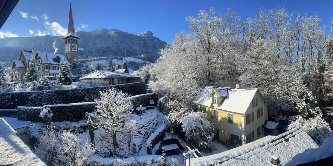 Cozy Boutique Apartment At Mt. Rigi Goldau Ngoại thất bức ảnh